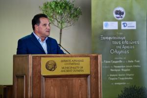 Ο Άδωνις Γεωργιάδης