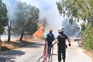 Πυροσβέστες και αστυνομικός σε φωτιά