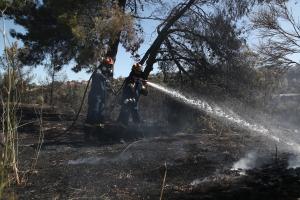 Πυροσβέστες στη φωτιά στο Ντράφι