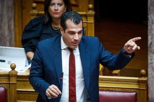 Πλεύρης