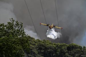Αμαλιάδα: Φωτιά στην περιοχή Ανάληψη