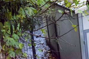 ΣΕΡΡΕΣ ΕΚΡΗΞΗ ΛΕΒΗΤΑ ΣΧΟΛΕΙΟ ΝΕΚΡΟΣ 11ΧΡΟΝΟΣ