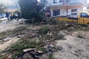 ΑΝΕΜΟΣΤΡΟΒΙΛΟΣ