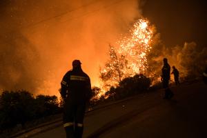 Πυροσβέστες σβήνουν φωτιά σε δάσος
