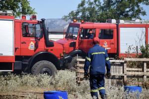 Πυροσβέστης και πυροσβεστικά οχήματα σε κατάσβεση φωτιάς