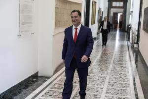 άδωνις Γεωργιάδης