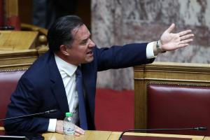 Ο Άδωνις Γεωργιάδης στη Βουλή