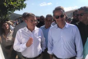 ΜΗΤΣΟΤΑΚΗΣ ΚΑΠΠΑΤΟΣ