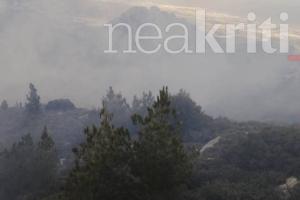 Φωτιά στα Καλαμαύκα Ιεράπετρας