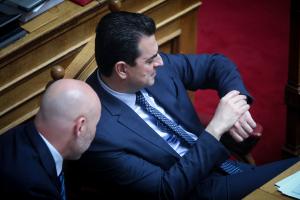 Σκρέκας Βουλή