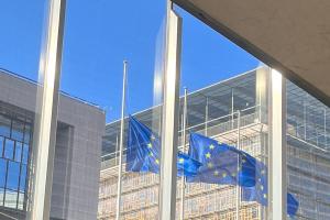 Μεσίστιες σημαίες Βρυξέλλες