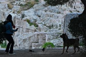 Αρχαιολογικός χώρος σκύλος
