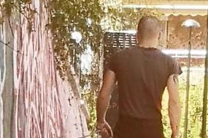 Ο άντρας που φέρεται να βάζει τον σκύλο του να σκοτώνει γάτες προχωρά στον δρόμο γυρισμένος πλάτη