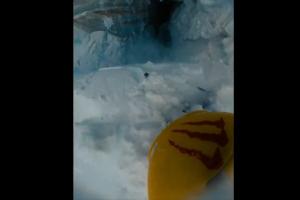 Skier