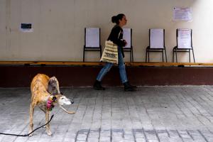 ΙΣΠΑΝΙΑ ΕΚΛΟΓΕΣ