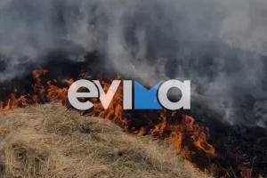 Φωτιά στην Εύβοια