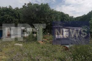 ΚΑΒΑΛΑ ΔΟΛΟΦΟΝΙΑ 68ΧΡΟΝΗΣ
