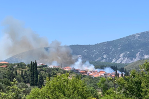 Σάμος φωτιά