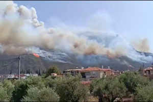 φωτιά αίγιο