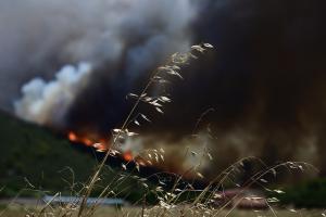 Καπνός Δερβενοχώρια