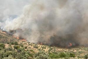 Φωτιά στην Κάρυστο