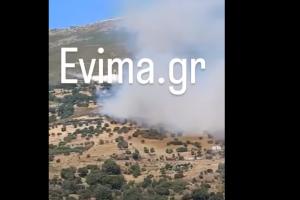 καπνός και ελικόπτερο που επιχειρεί στο πύρινο μέτωπο
