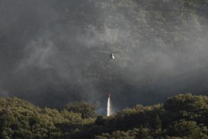 Καμένα στρέμματα από τις πυρκαγιές
