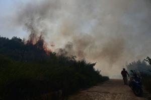Φωτιά Δερβενοχώρια