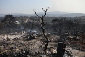 Καμένα από την φωτιά στη δυτική Αττική