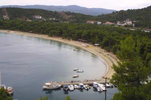 ΣΚΙΑΘΟΣ ΚΟΥΚΟΥΝΑΡΙΕΣ