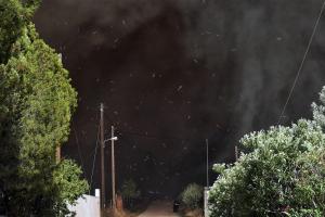 Φωτιά Λουτράκι καπνός