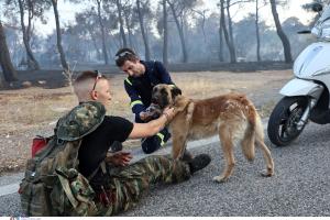 Διασώστης και πυροσβέστης αγκαλιά με τον σκύλο που διέσωσαν