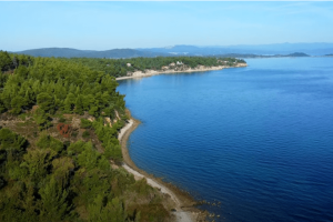 Παραλία Μπάρα Σιθωνία Χαλκιδική