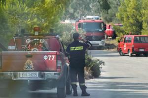 ΠΥΡΟΣΒΕΣΤΙΚΗ ΔΑΣΟΣ