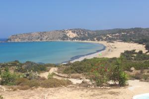 ΓΑΥΔΟΣ ΣΑΡΑΚΗΝΙΚΟ
