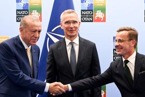 Γενς Στόλτενμπεργκ, Ρετζέπ Ταγίπ Ερντογάν και Ουλφ Κρίστερσον
