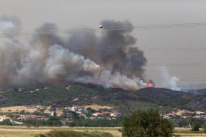 ΠΥΡΚΑΓΙΑ ΑΛΕΞΑΝΔΡΟΥΠΟΛΗ