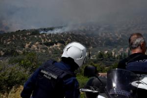 Αστυνομικοί κοιτάζουν καπνούς από φωτιά