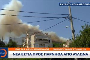 Φωτιά πυρκαγιά Αυλώνας