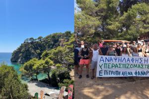 Δάσος Βαλανιδοράχης