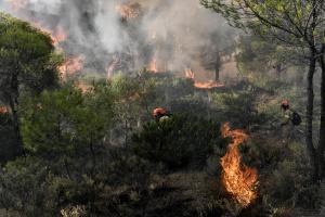 Πυροσβέστες σβήνουν φωτιές μέσα στο δάσος