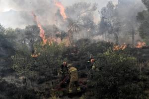πυροσβέστης επιχειρεί σε φωτιά σε δάσος