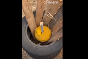 Καύσιμη ύλη φωτιά Αλεξανδρούπολη