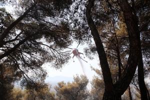 φωτιά πυρκαγιά Πάρνηθα ελικόπτερο