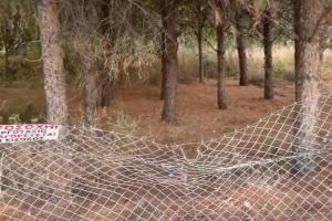 ΑΛΕΞΑΝΔΡΟΥΠΟΛΗ ΑΛΣΟΣ ΦΥΤΩΡΙΟΥ