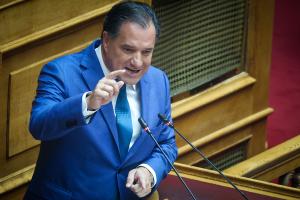 Άδωνις Γεωργιάδης Βουλή