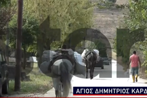 Άλογα Καρδίτσα κακοκαιρία
