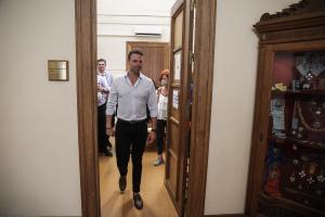 Ο Στέφανος Κασσελάκης