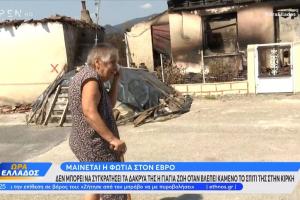 Κίρκη έβροσ