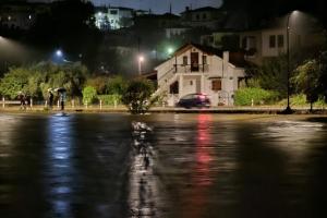 Τρίκαλα